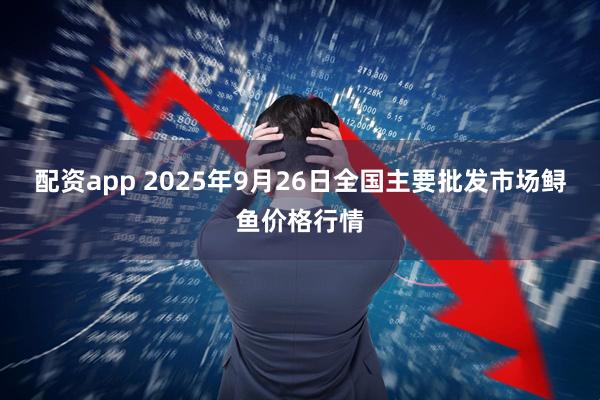 配资app 2025年9月26日全国主要批发市场鲟鱼价格行情